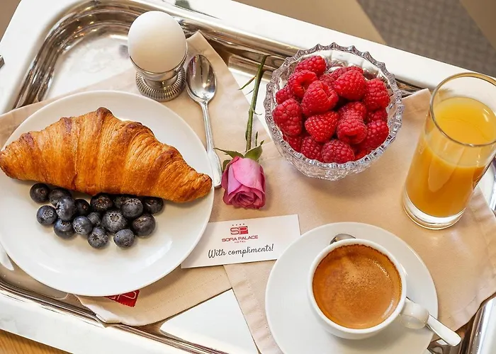 Hotel Palace By Hmg Sofía