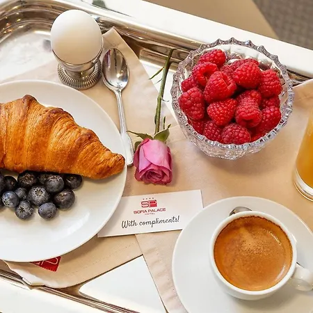 Hotell Palace By Hmg Sofia